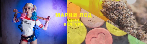 СК Анива