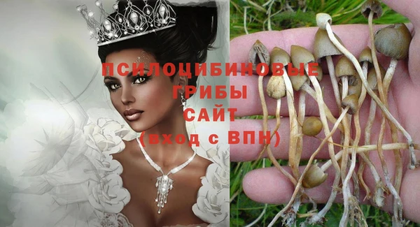 трава Надым